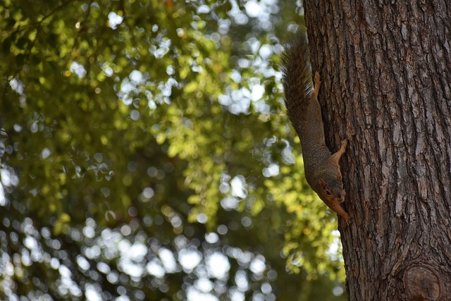 气得双手握拳！